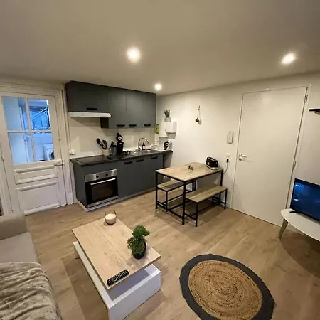 Gaby ~ Jardinet ~ Hyper-centre Apartment Pau