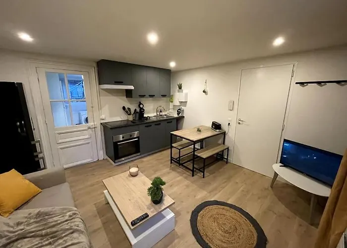 Gaby ~ Jardinet ~ Hyper-centre Lejlighed Pau